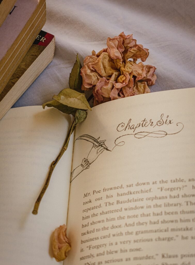 Open book with dried rose