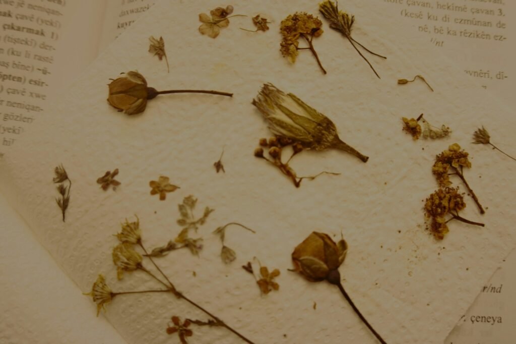 Pressed flowers on paper